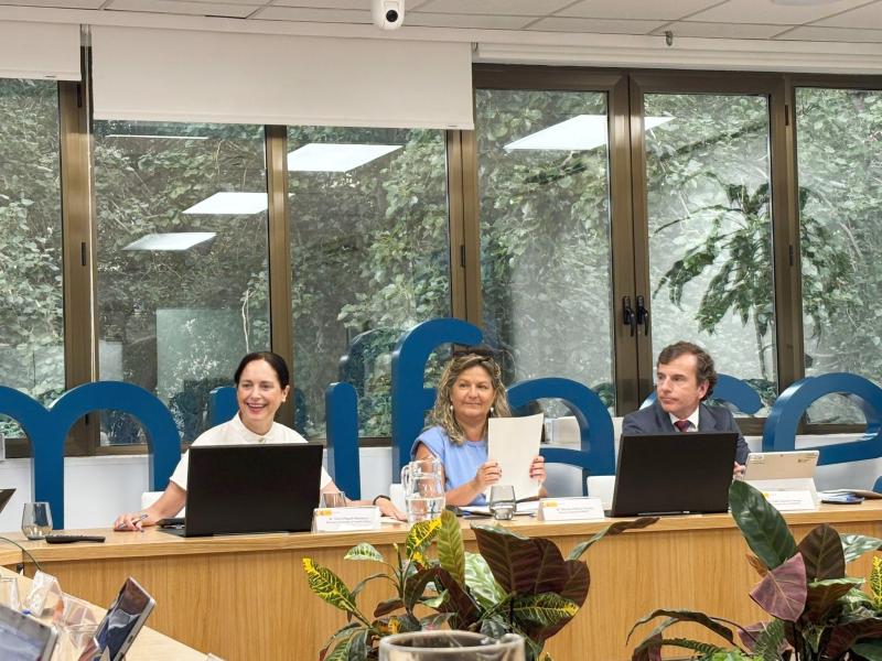 Segunda sesión anual del Consejo General