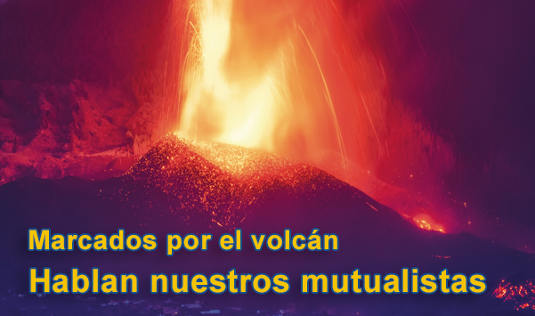 Marcados por el volcán. Hablan nuestros mutualistas 1 de 3